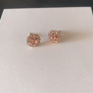 Fashion Jewelry Rose/Gold Stud Earrings